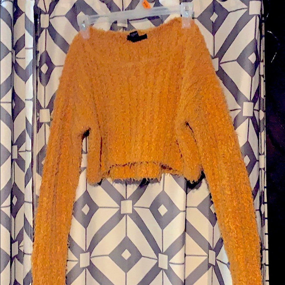 A Wool Crop Top Sweater